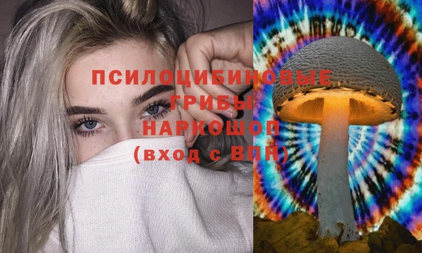 спайс Коряжма