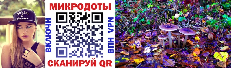 Псилоцибиновые грибы MAGIC MUSHROOMS сколько стоит МЕГА tor Куровское